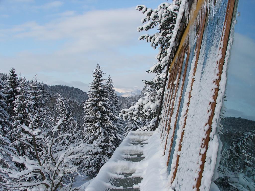 Holiday Park Orava Apartments โดลนีคูบีน ภายนอก รูปภาพ